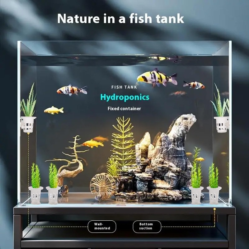 10/20/30Pcs 플라스틱 수족관 심기 컵, 흡착판 - Aquarium Plants Live 리뷰 및 가격