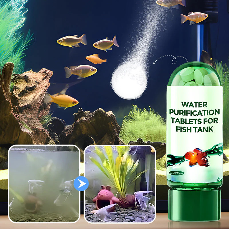 친환경 수족관 물 정화 정제, 빠른 효과 어항 청소액, - Aquarium Liquid Carbon 리뷰 및 가격