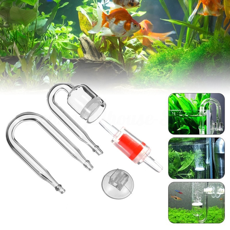 수족관 유리 탱크용 DIY CO2 디퓨저, 버블 반응기 - Aquarium Plants Live 리뷰 및 가격