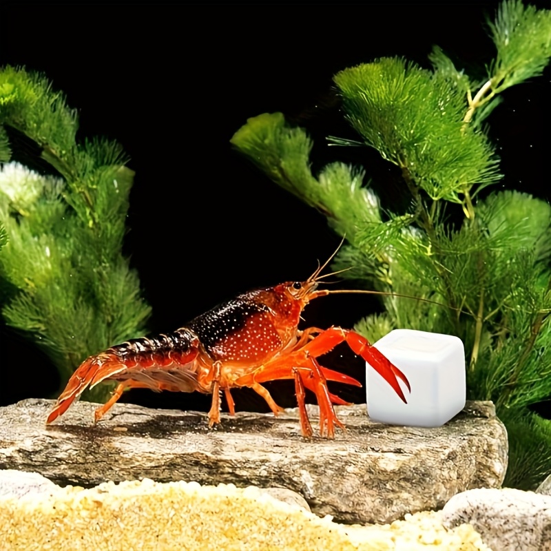 어항용 칼슘 블록 6개 세트, 미네랄, 수족관 용품,  - Aquarium Plants Live 리뷰 및 가격
