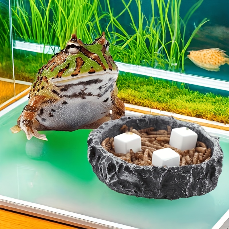 어항용 칼슘 블록 6개 세트, 미네랄, 수족관 용품,  - Aquarium Plants Live 리뷰 및 가격